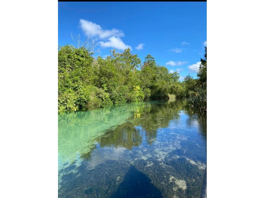 6443 Finance Avenue Weeki Wachee FL 34607 TB8392779 image39