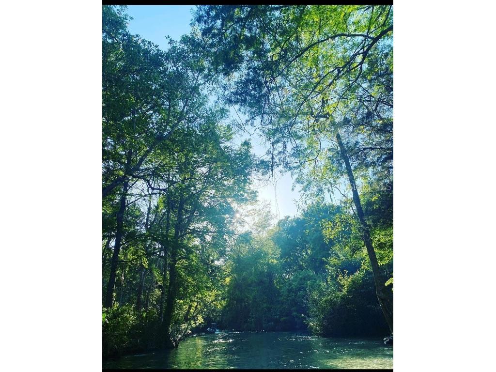 6443 Finance Avenue Weeki Wachee FL 34607 TB8392779 image40