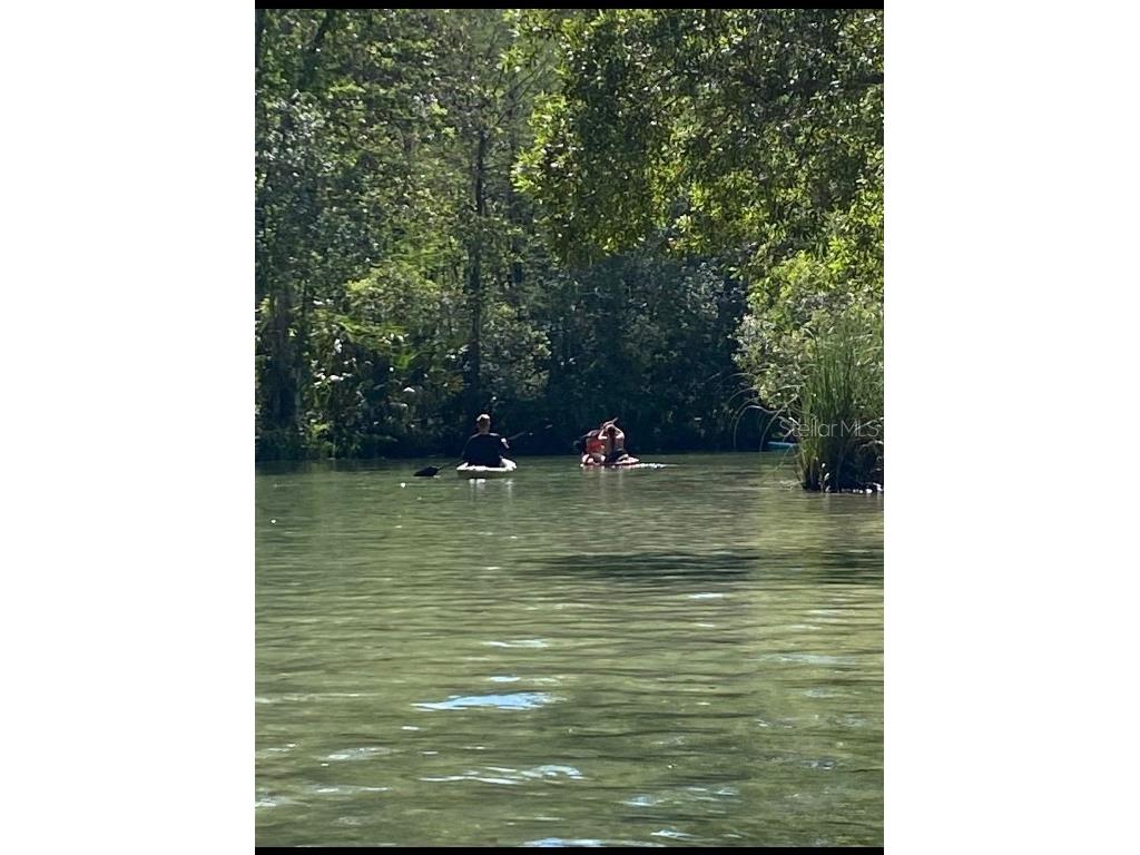 6443 Finance Avenue Weeki Wachee FL 34607 TB8392779 image41