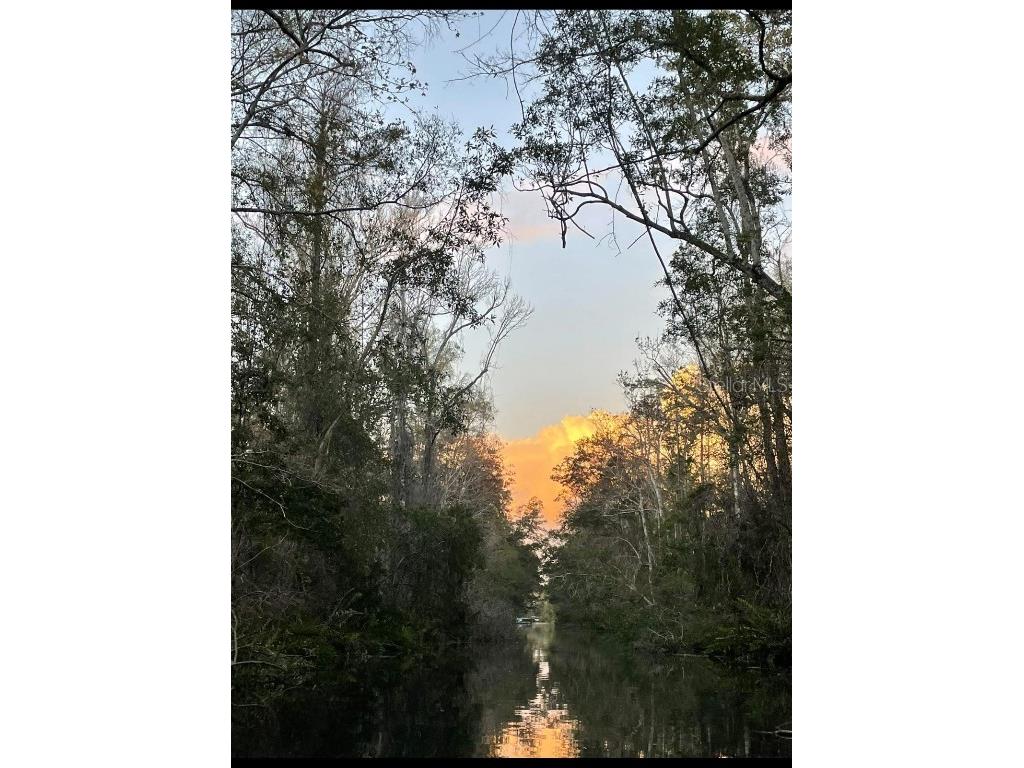 6443 Finance Avenue Weeki Wachee FL 34607 TB8392779 image42