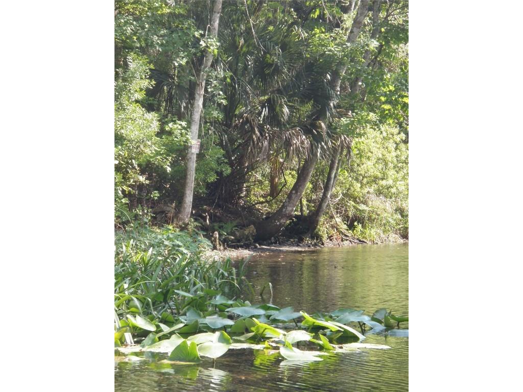 6443 Finance Avenue Weeki Wachee FL 34607 TB8392779 image43