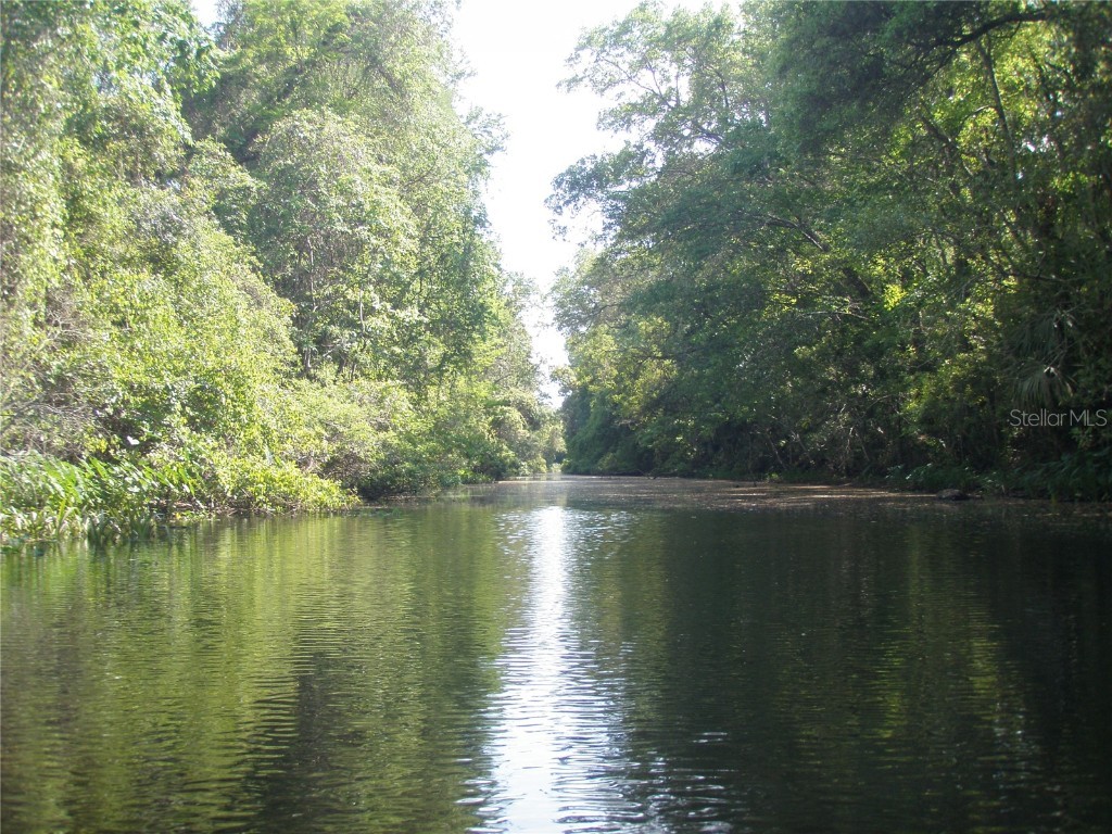 6443 Finance Avenue Weeki Wachee FL 34607 TB8392779 image44