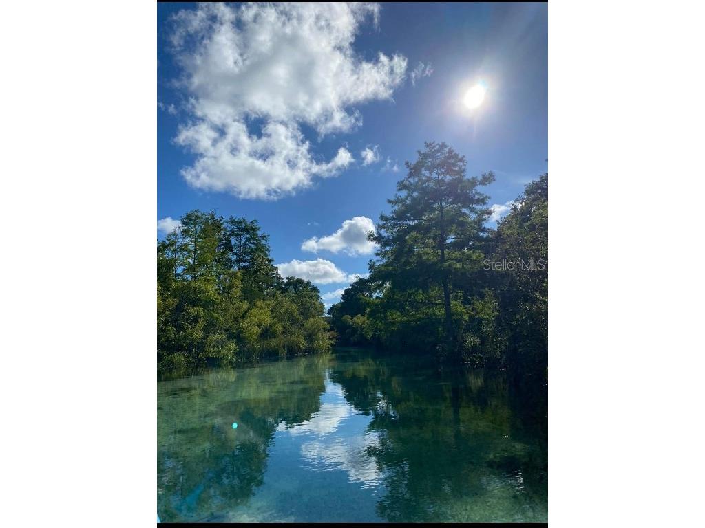 6443 Finance Avenue Weeki Wachee FL 34607 TB8392779 image45