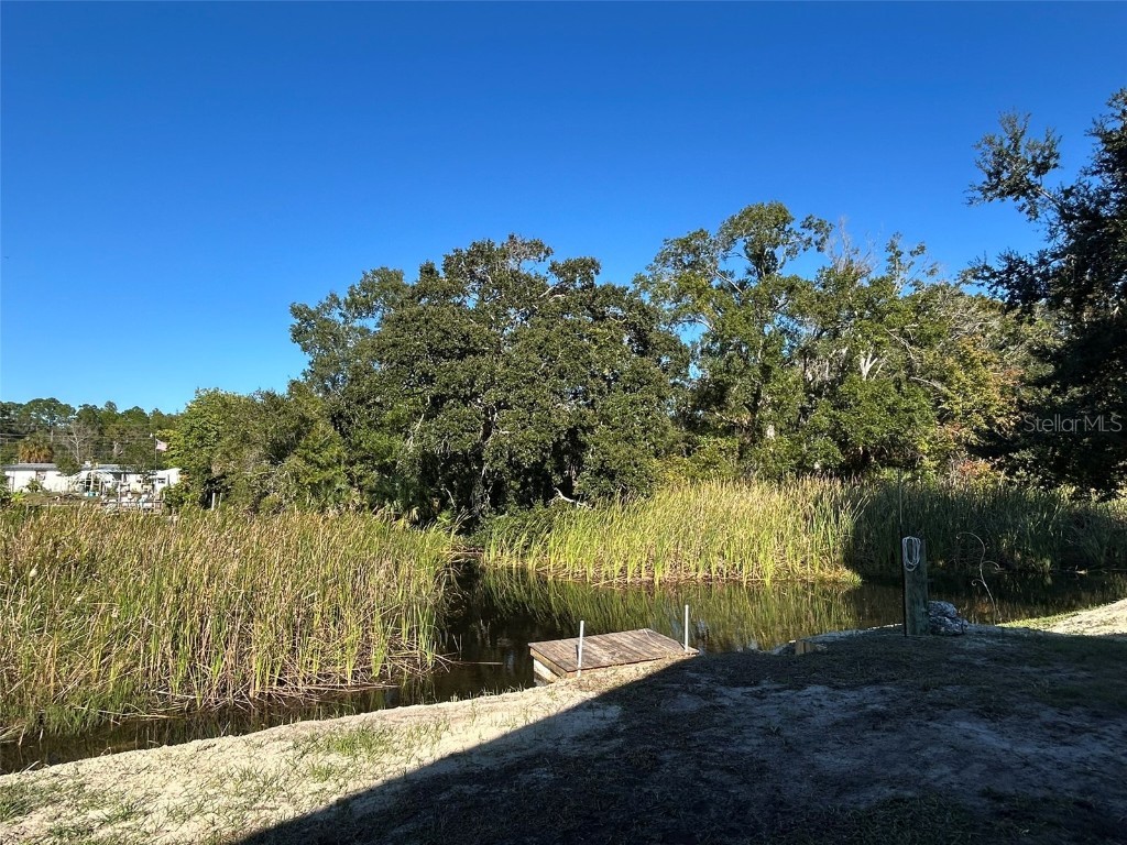 6443 Finance Avenue Weeki Wachee FL 34607 TB8392779 image7