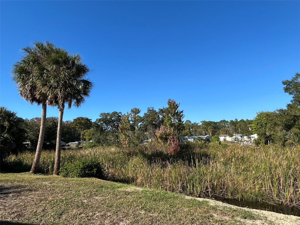 6443 Finance Avenue Weeki Wachee FL 34607 TB8392779 image8