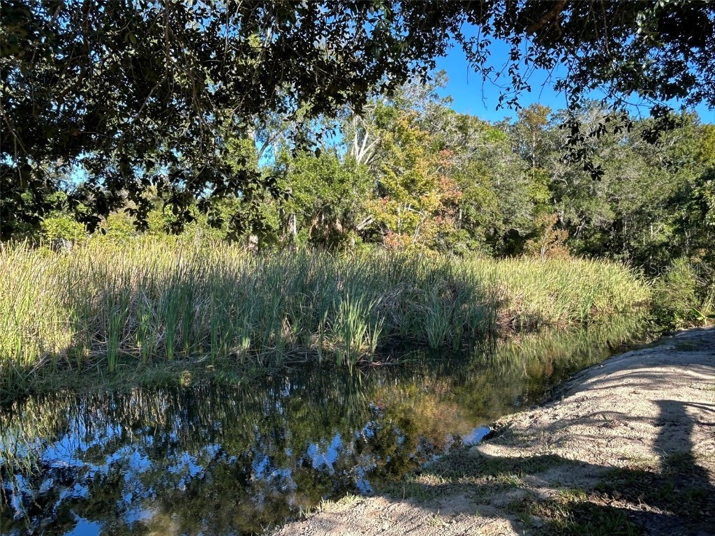 6443 Finance Avenue Weeki Wachee FL 34607 TB8392779 image9