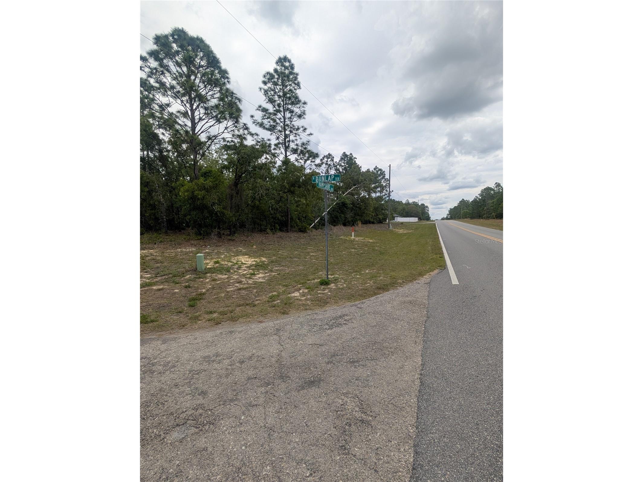 6443 N Dunlap Terrace Citrus Springs FL 34433 OM723534 image1