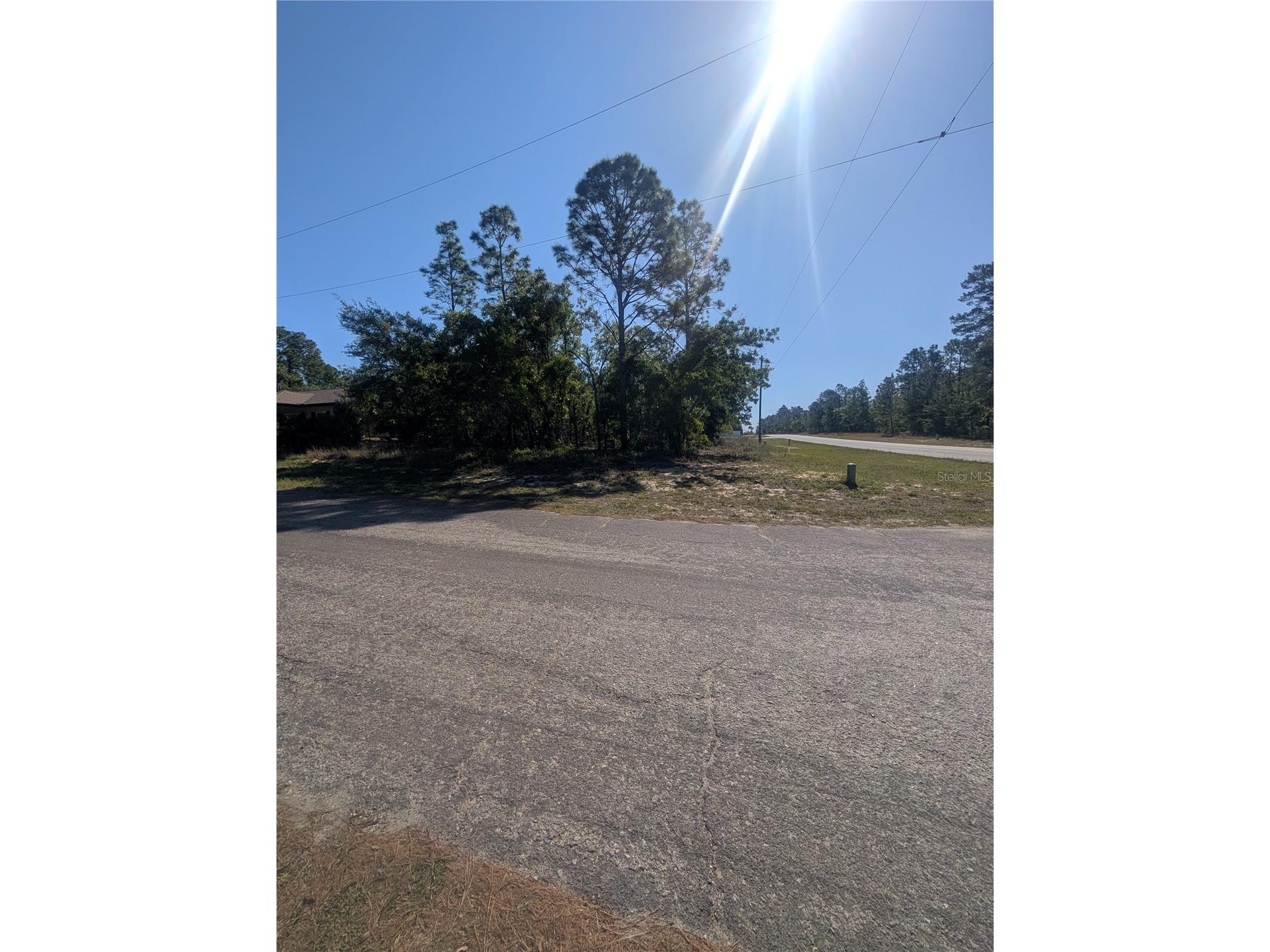6443 N Dunlap Terrace Citrus Springs FL 34433 OM723534 image11