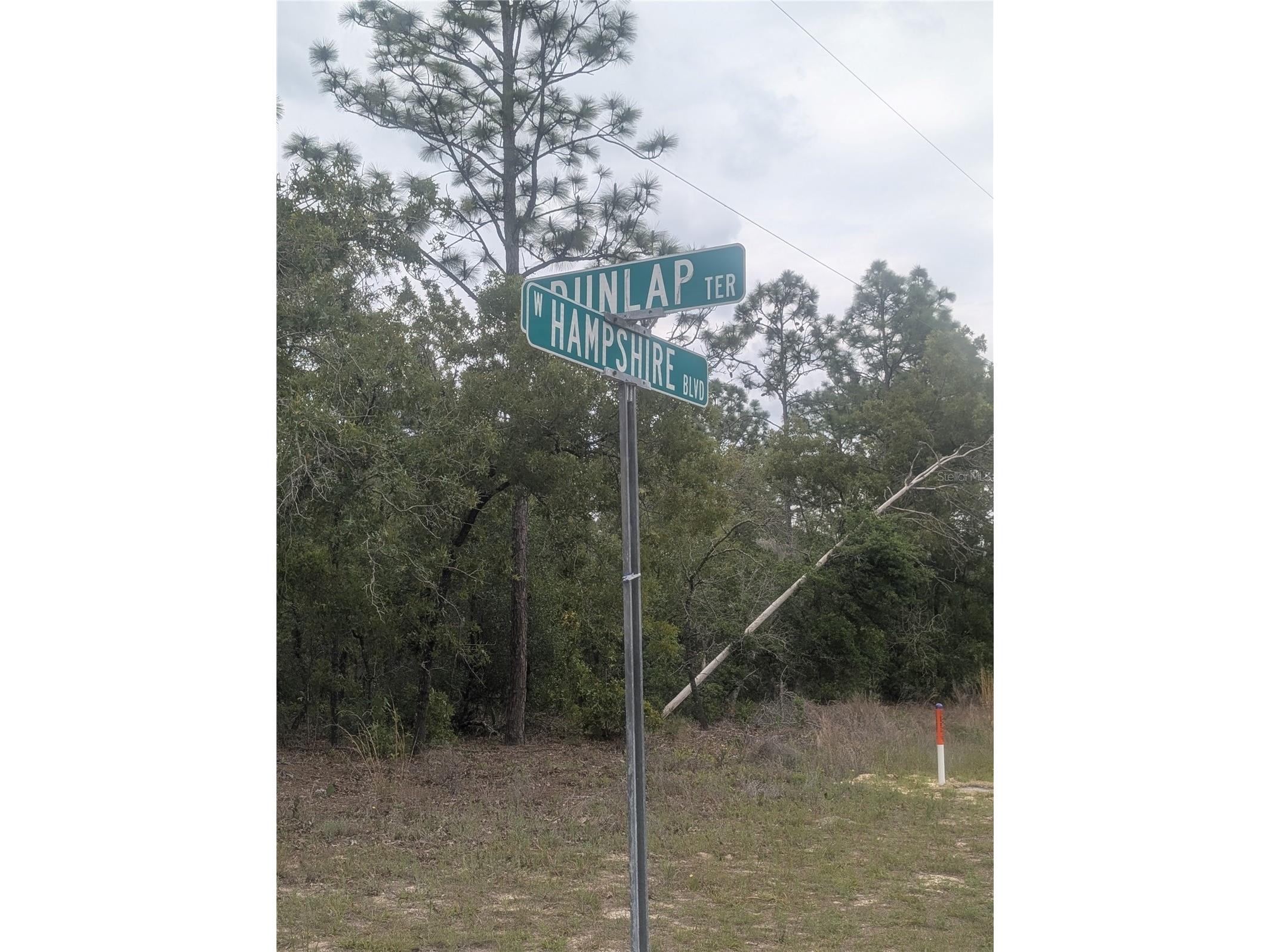 6443 N Dunlap Terrace Citrus Springs FL 34433 OM723534 image2