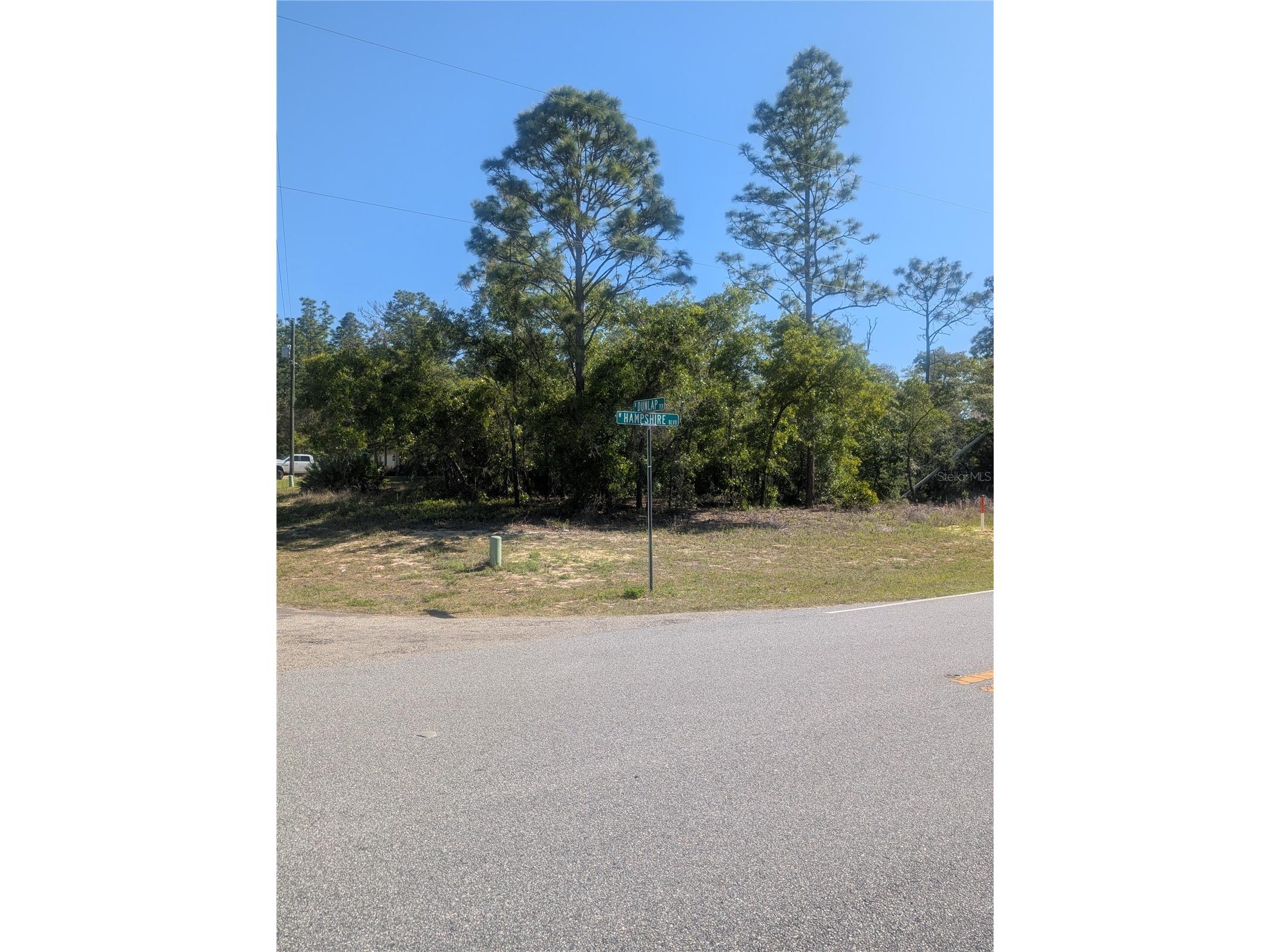 6443 N Dunlap Terrace Citrus Springs FL 34433 OM723534 image3