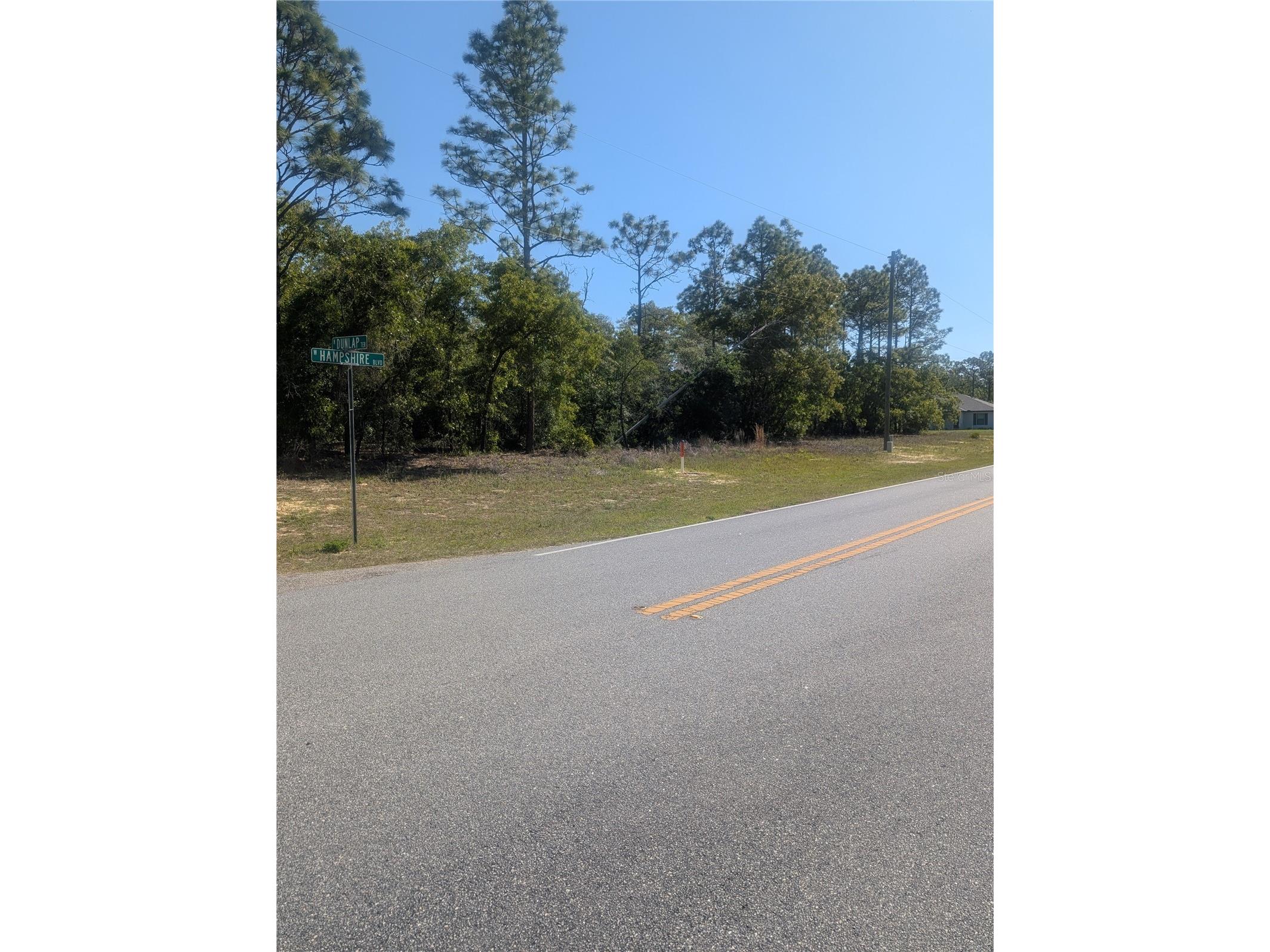 6443 N Dunlap Terrace Citrus Springs FL 34433 OM723534 image4