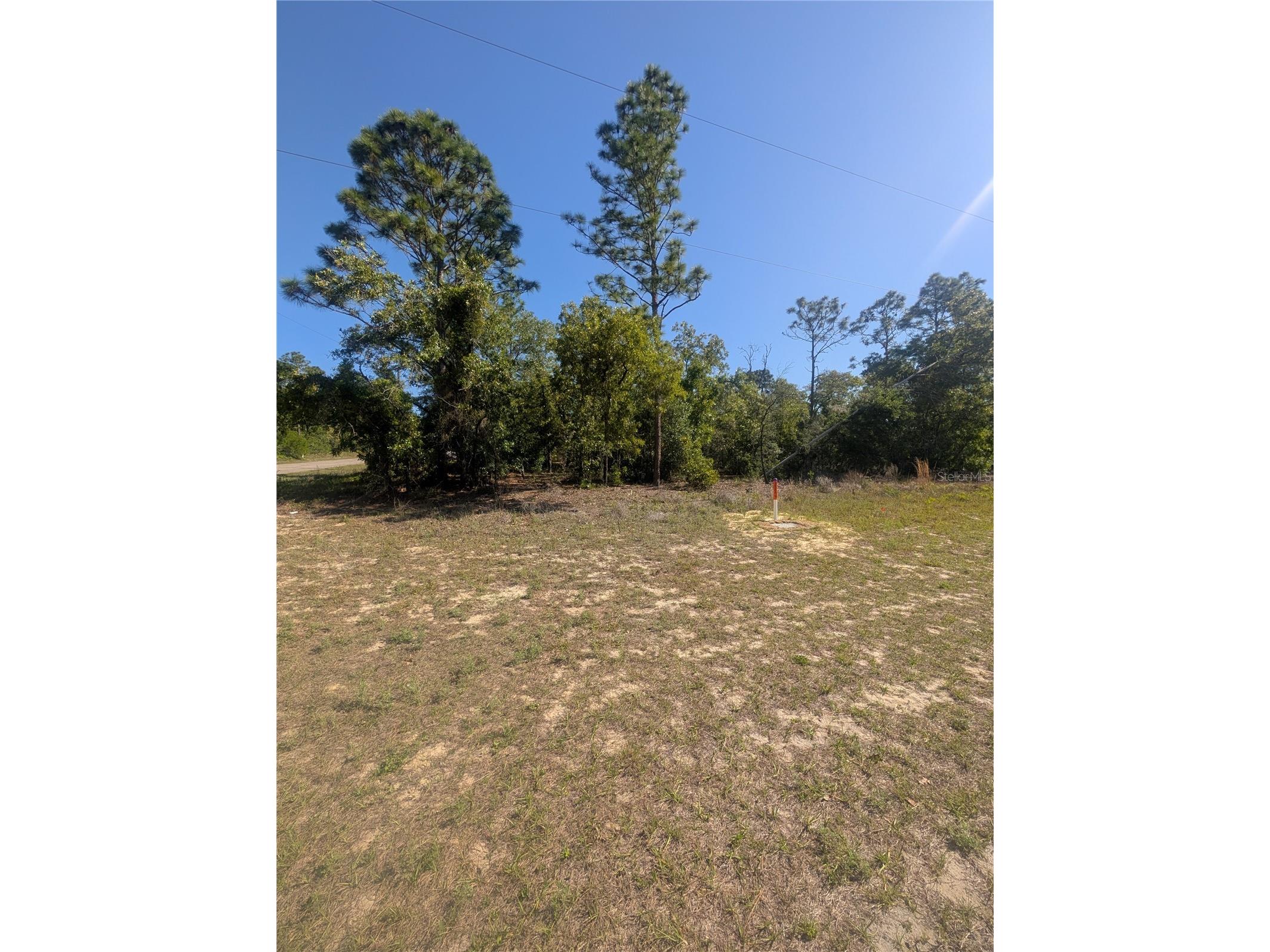6443 N Dunlap Terrace Citrus Springs FL 34433 OM723534 image6