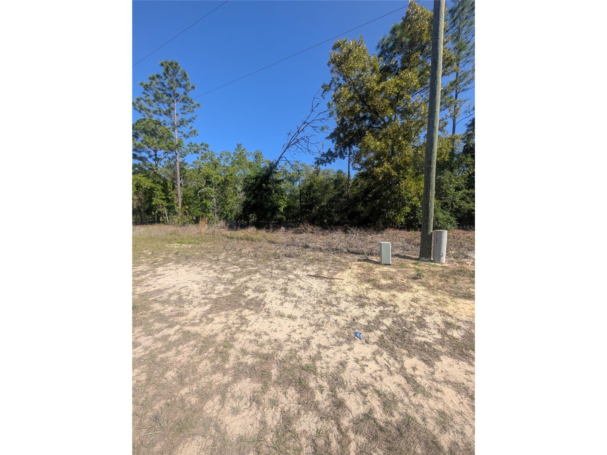 6443 N Dunlap Terrace Citrus Springs FL 34433 OM723534 image8
