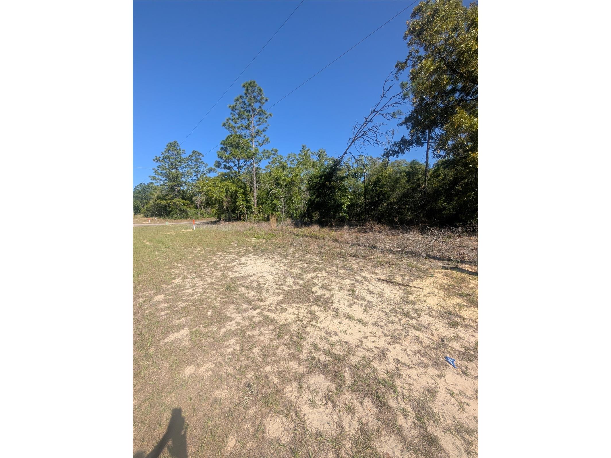 6443 N Dunlap Terrace Citrus Springs FL 34433 OM723534 image9