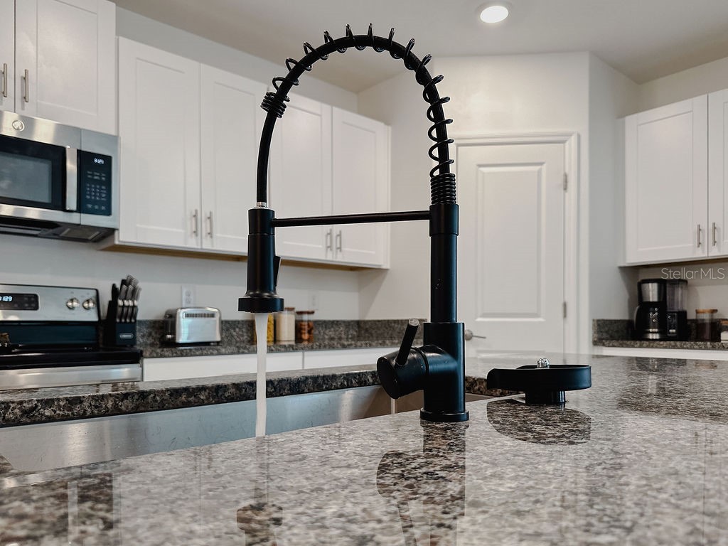 6444 Bar S Bar Trail Zephyrhills FL 33541 TB8387843 image10