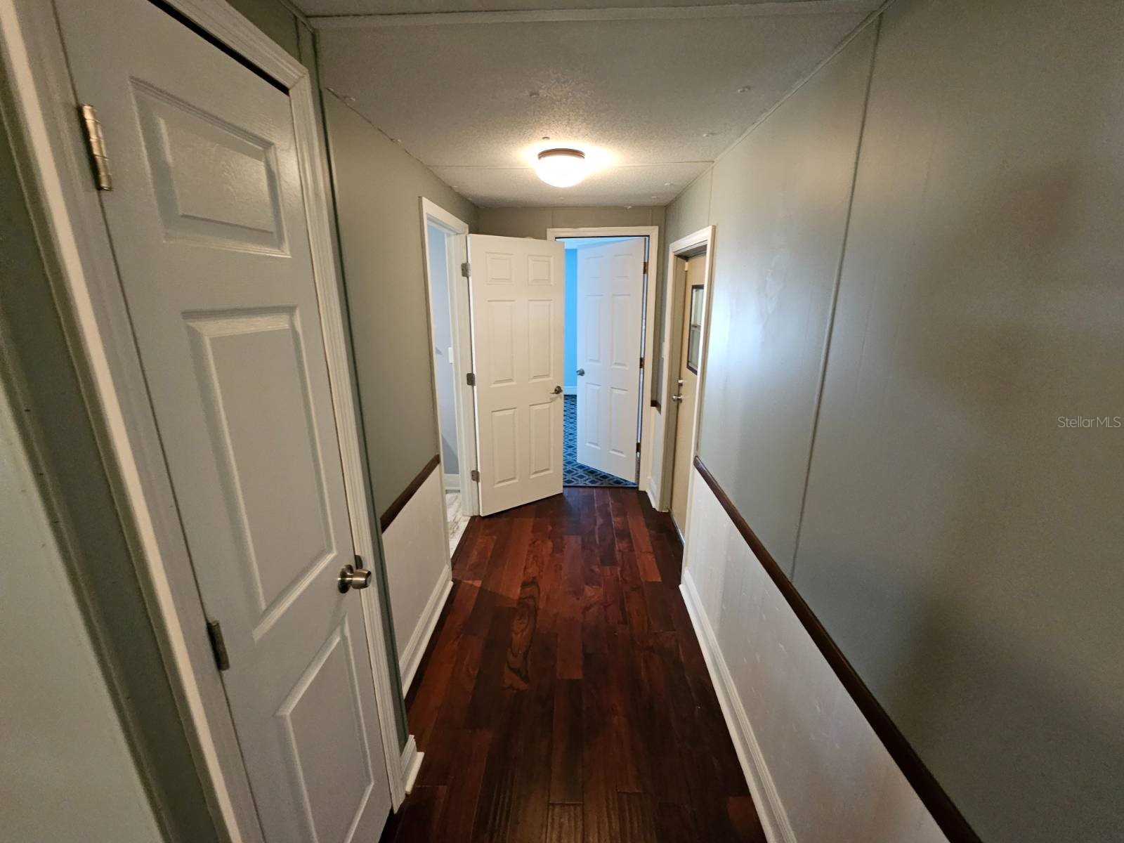 6445 Belle Terre New Port Richey FL 34653 TB8495611 image7