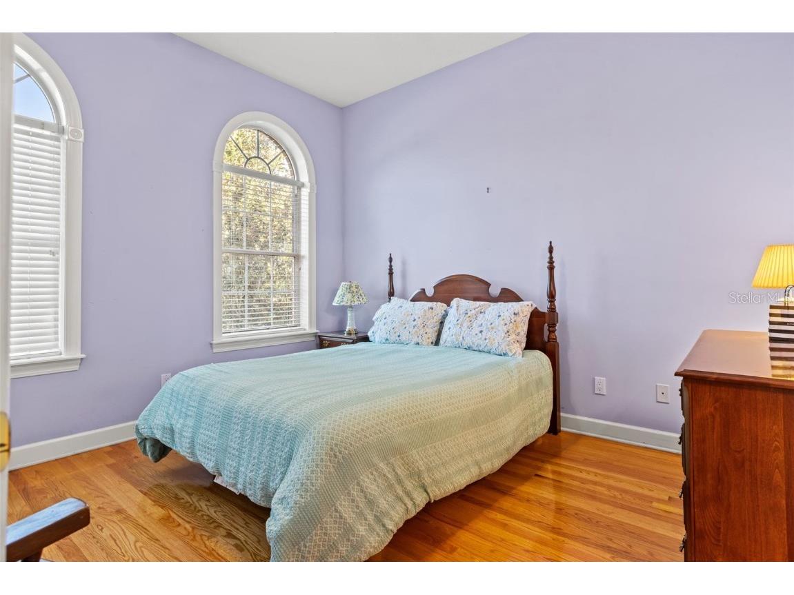 6445 Renwick Circle Tampa FL 33647 TB8457850 image38