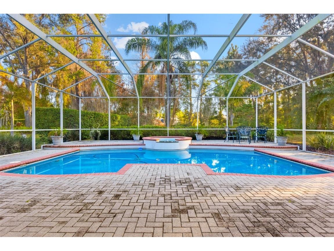 6445 Renwick Circle Tampa FL 33647 TB8457850 image41