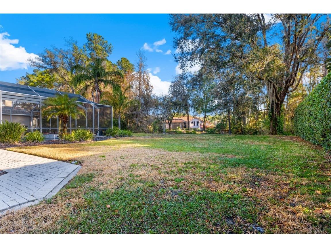 6445 Renwick Circle Tampa FL 33647 TB8457850 image46