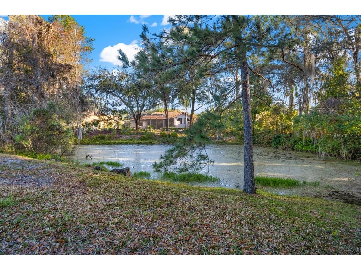 6445 Renwick Circle Tampa FL 33647 TB8457850 image48