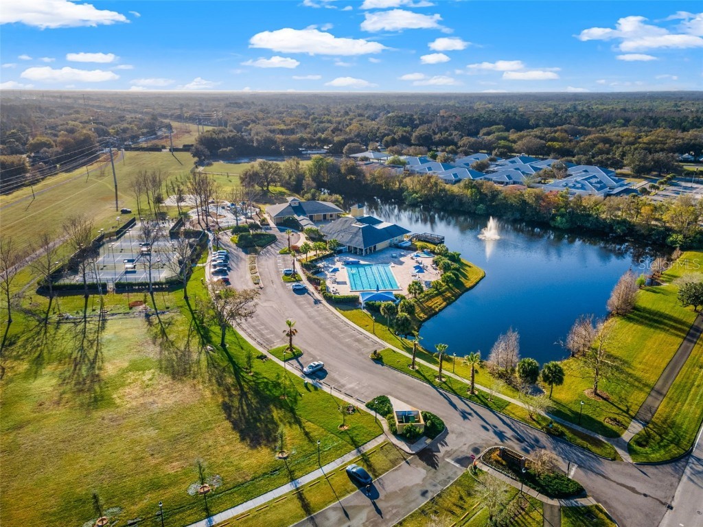 6445 Renwick Circle Tampa FL 33647 TB8457850 image50