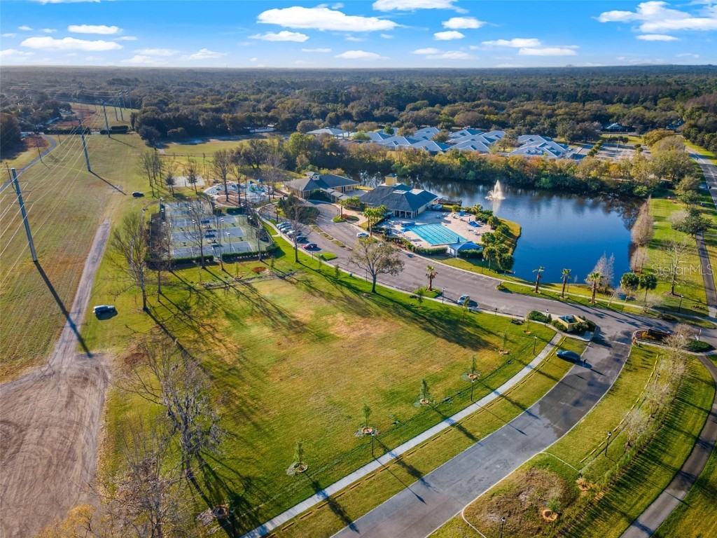 6445 Renwick Circle Tampa FL 33647 TB8457850 image52