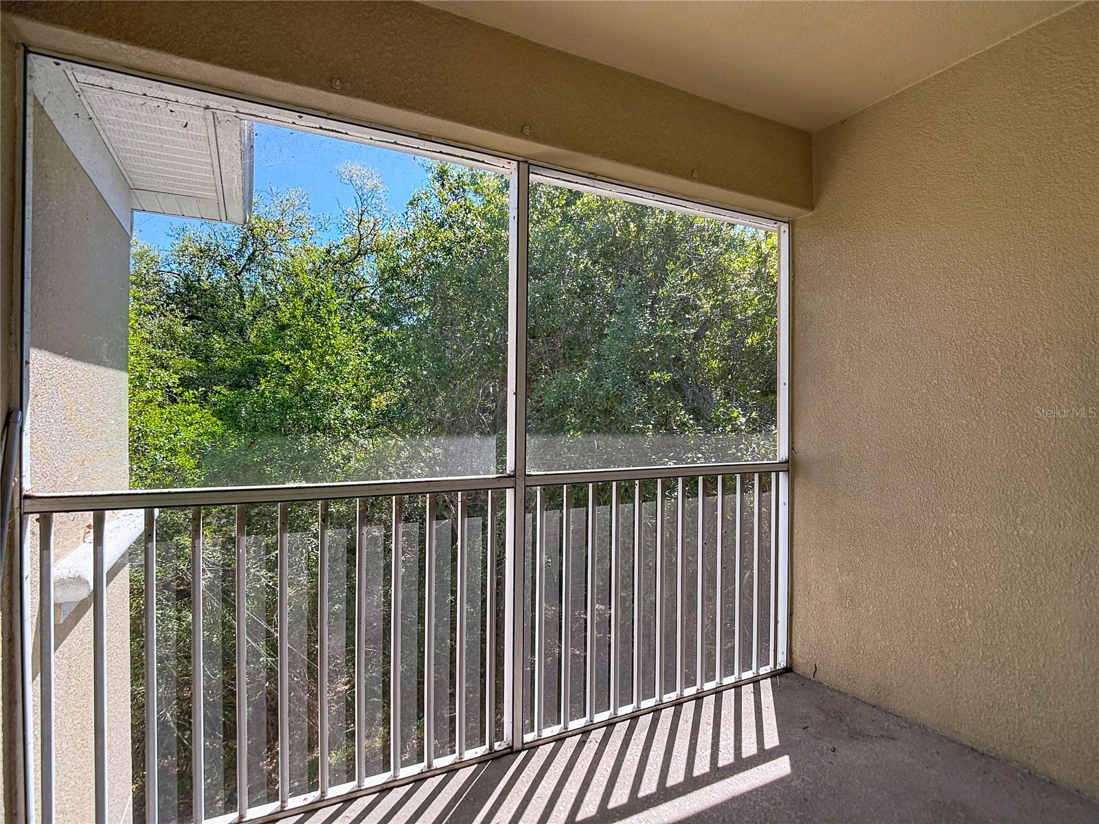 6446 Cypressdale Drive #202 Riverview FL 33578 TB8489033 image19