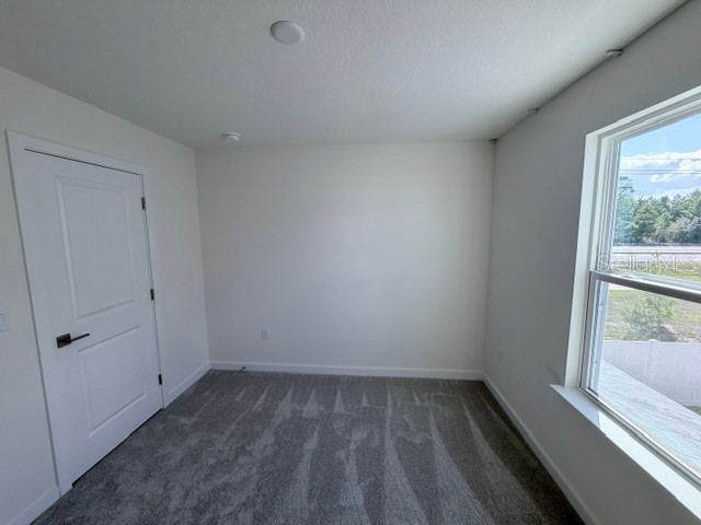 6446 Horseshoe Lane Way Harmony FL 34773 S5151563 image16