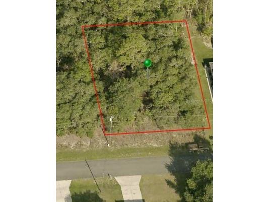 6446 N Kangaroo Terrace Citrus Springs FL 34434 O6184940 image1