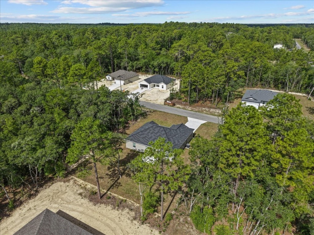 6447 N New Japan Terrace Citrus Springs FL 34434 OM711642 image44