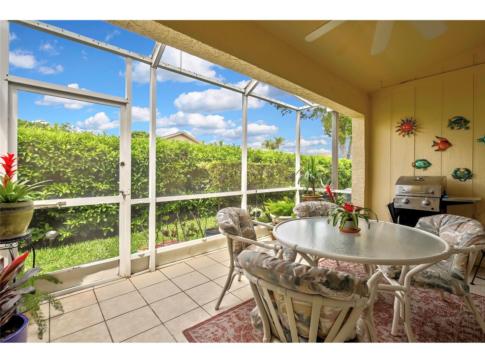 6447 Pine Walk Drive New Port Richey FL 34655 TB8494615 image19