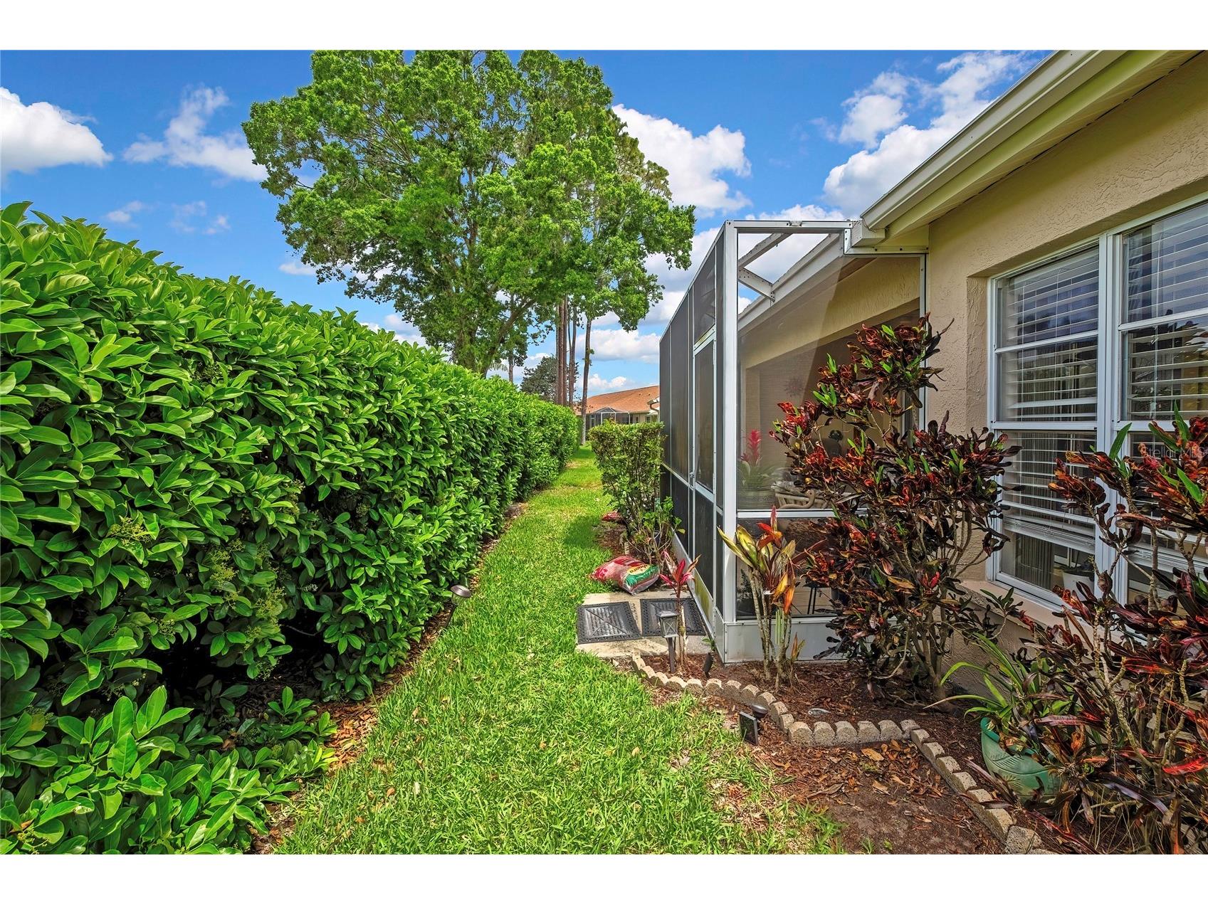 6447 Pine Walk Drive New Port Richey FL 34655 TB8494615 image20