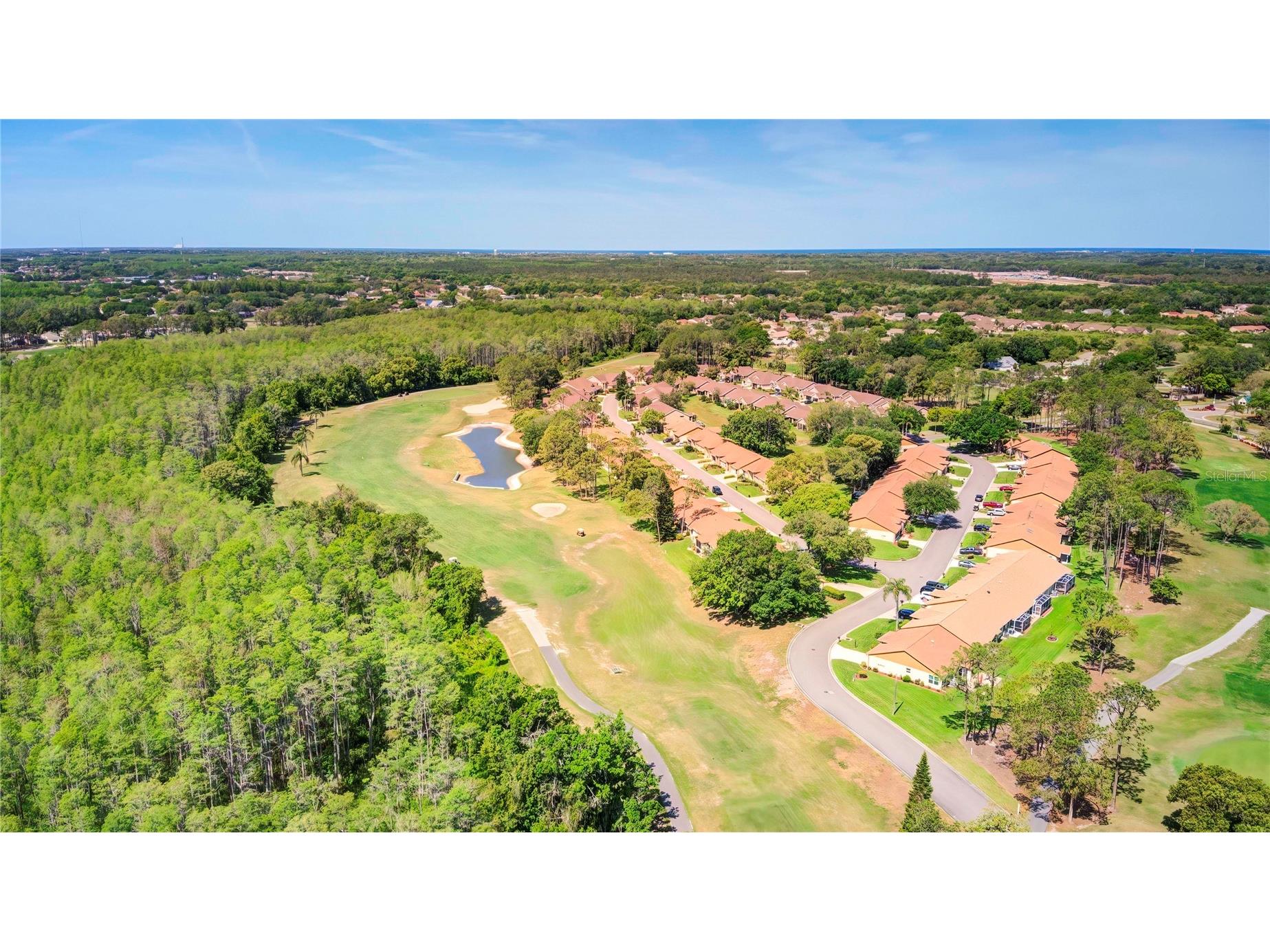 6447 Pine Walk Drive New Port Richey FL 34655 TB8494615 image22