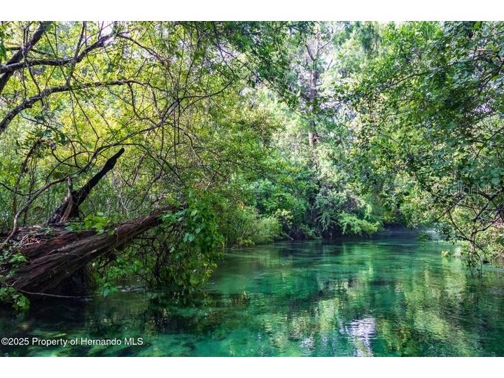 6448-1 W Richard Drive Weeki Wachee FL 34607 W7880055 image2