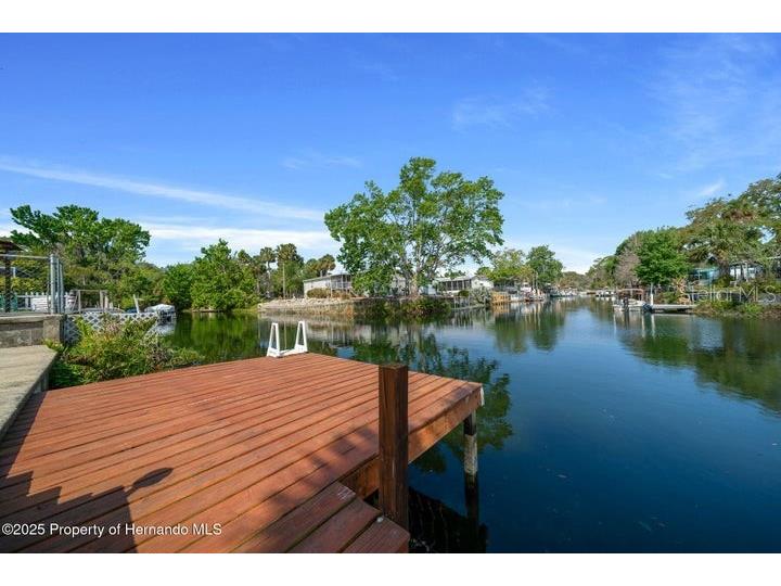 6448-1 W Richard Drive Weeki Wachee FL 34607 W7880055 image29