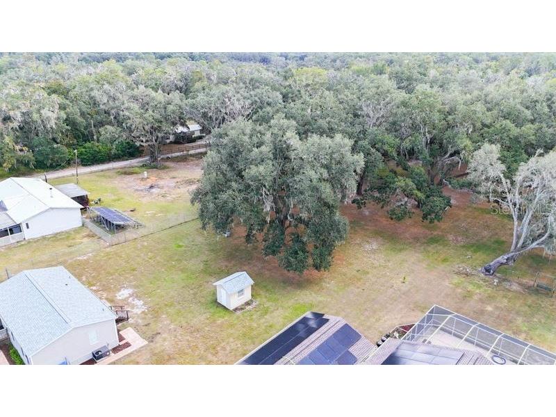 6449 Durant Road Plant City FL 33567 TB8446877 image19