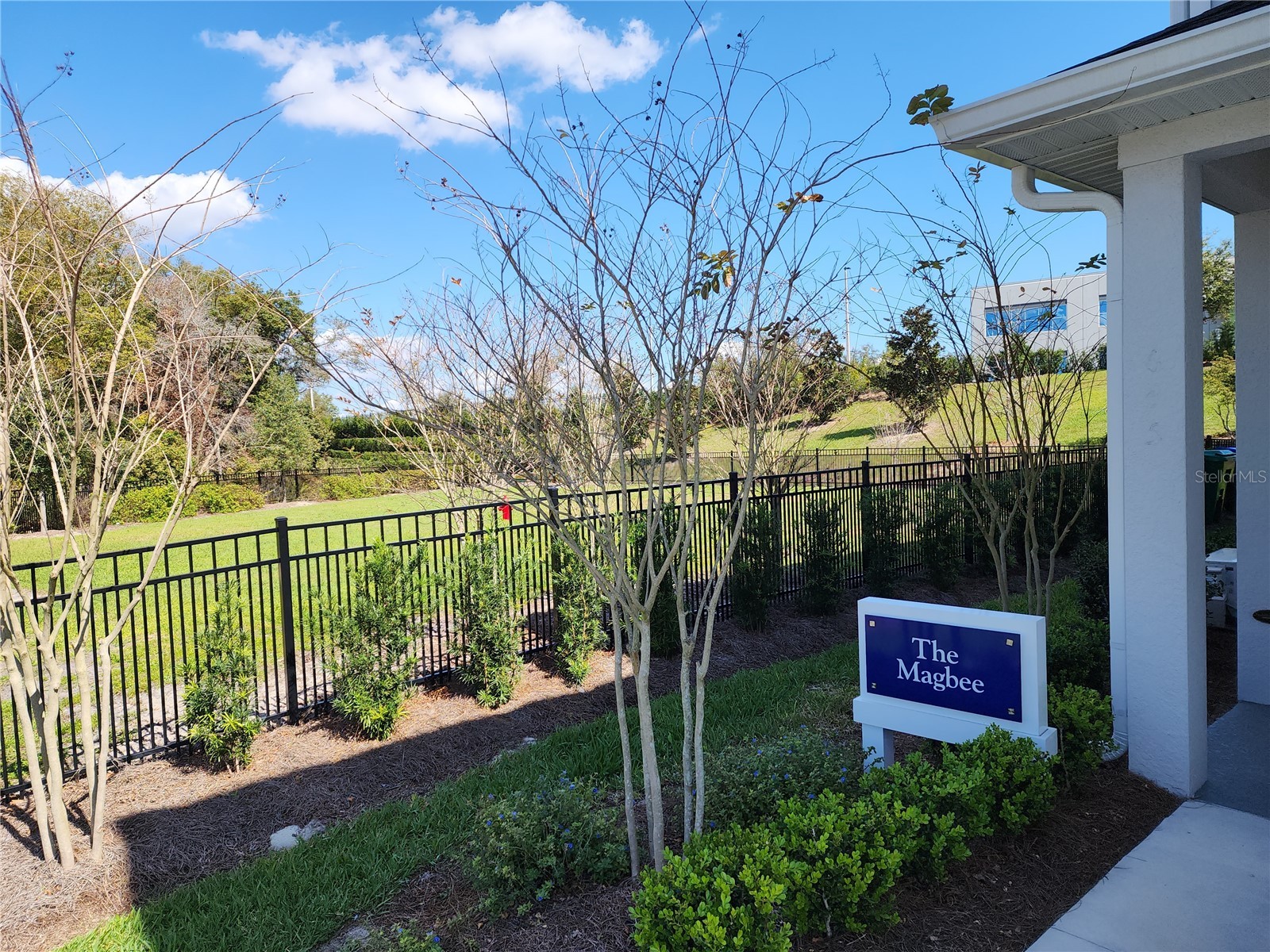 645 Astera Winds Lane Lake Mary FL 32746 O6387702 image3