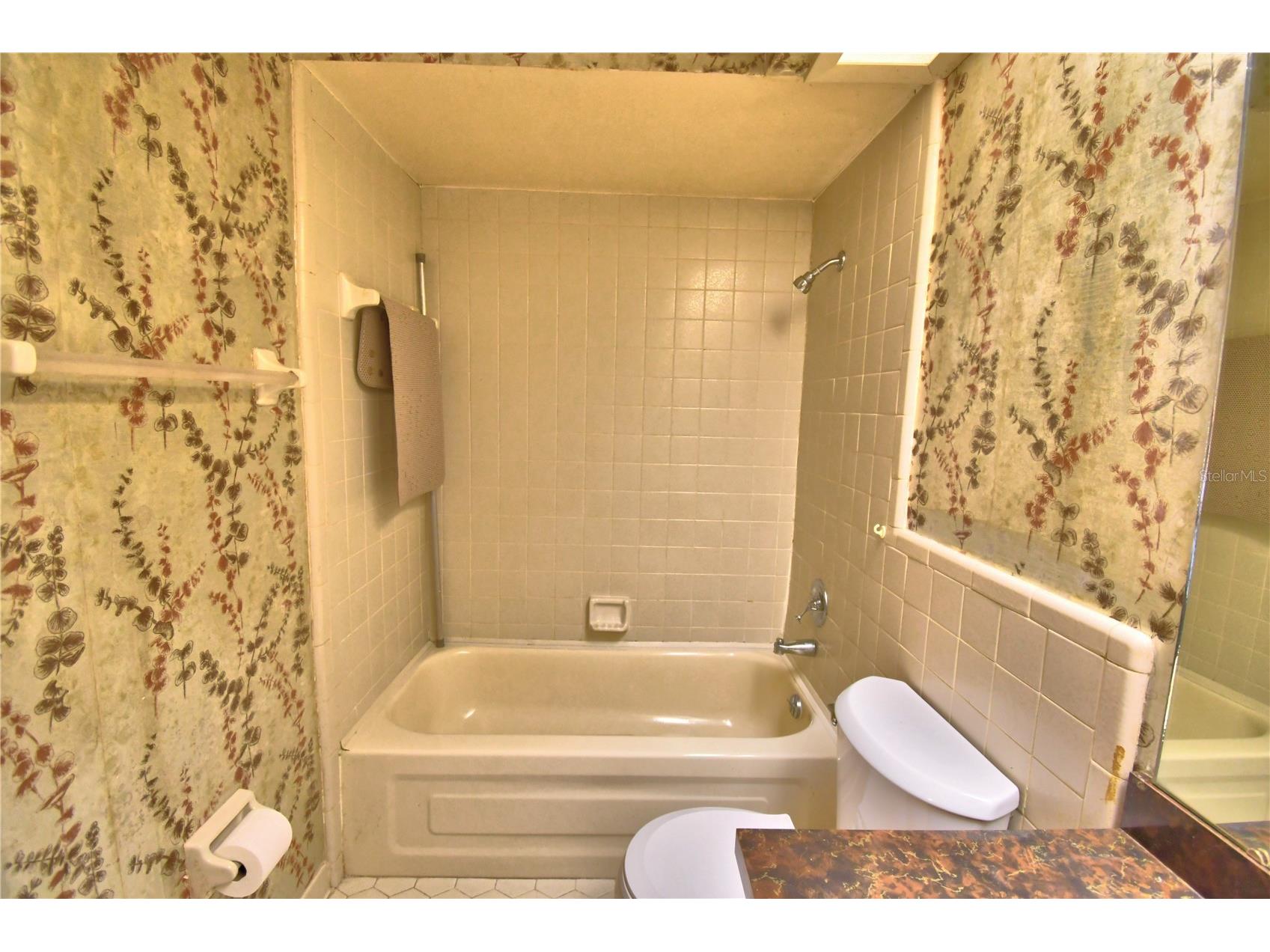 645 Broadmoor Circle #645 Winter Haven FL 33884 P4938978 image32