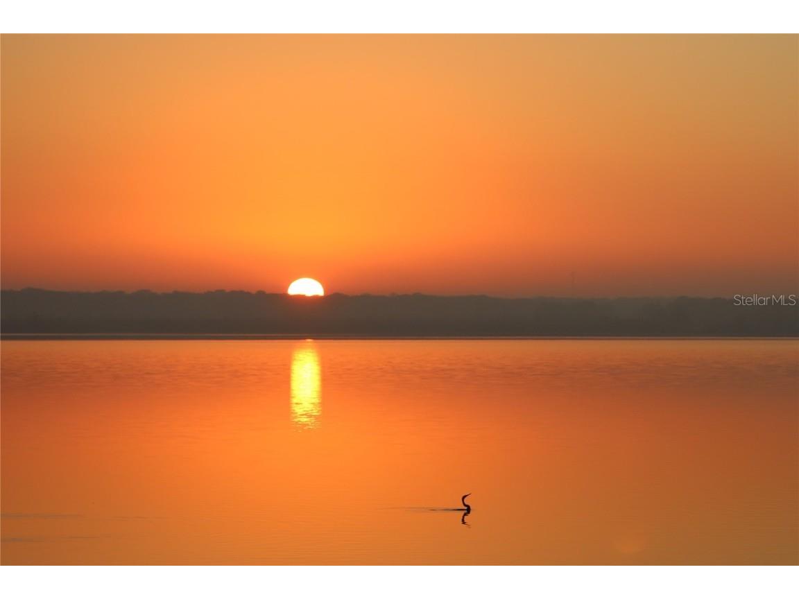 645 Cr 485a Lake Panasoffkee FL 33538 - LAKE PANASOFFKEE O5995985 image1