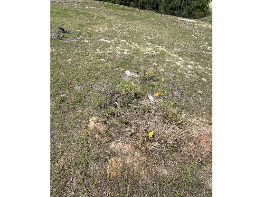 645 Dicks Road Babson Park FL 33827 S5125329 image12