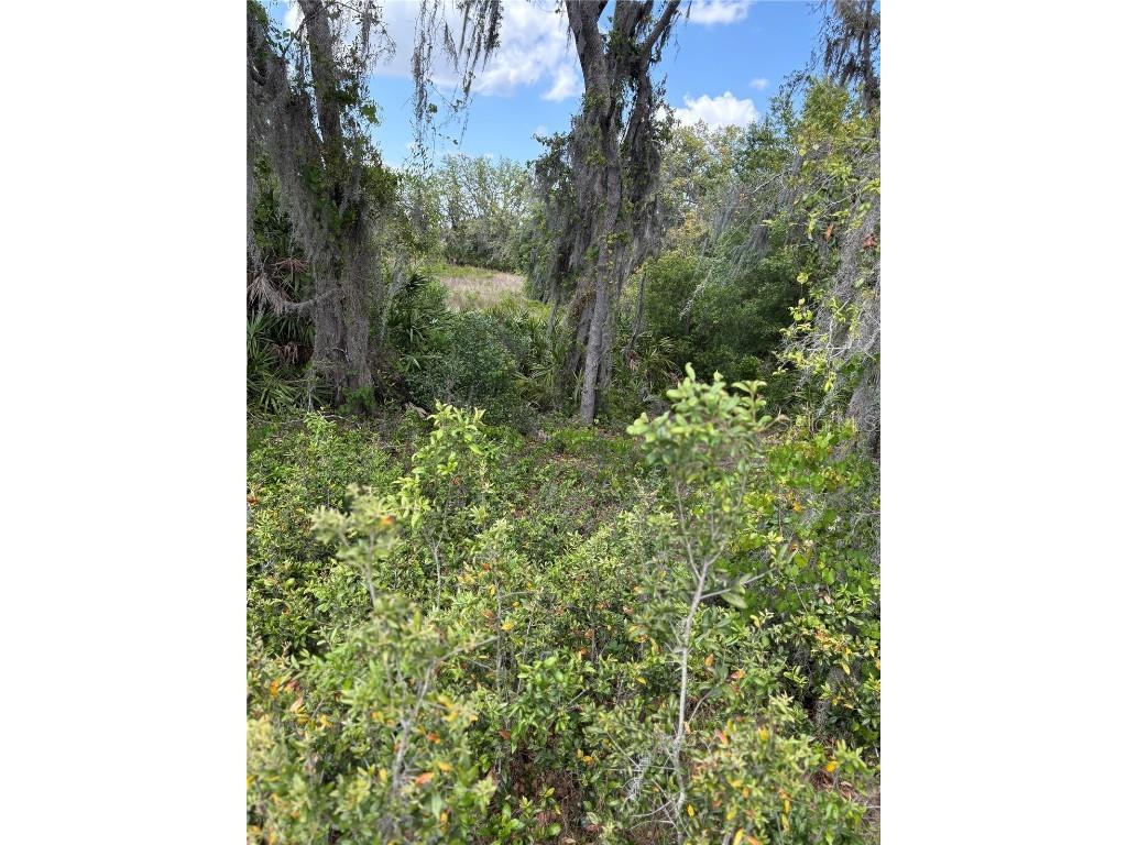 645 Dicks Road Babson Park FL 33827 S5125329 image7