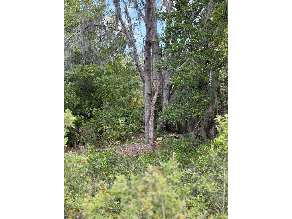 645 Dicks Road Babson Park FL 33827 S5125329 image8