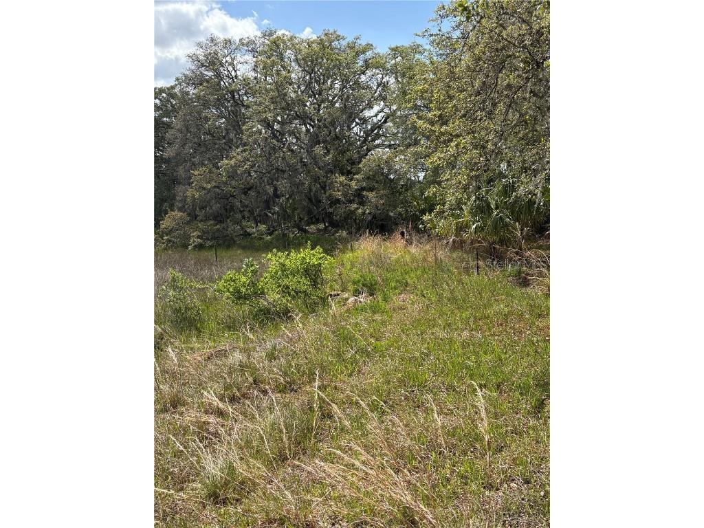 645 Dicks Road Babson Park FL 33827 S5125329 image9