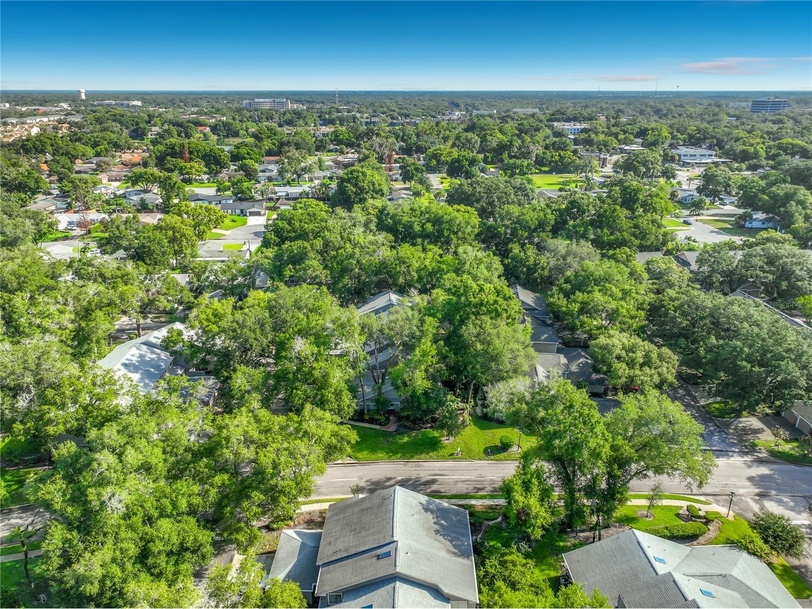 645 Laurel Oak Lane #201 Altamonte Springs FL 32701 V4949925 image52