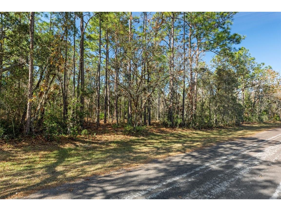 645 N Heathrow Drive Lecanto FL 34461 OM692510 image1