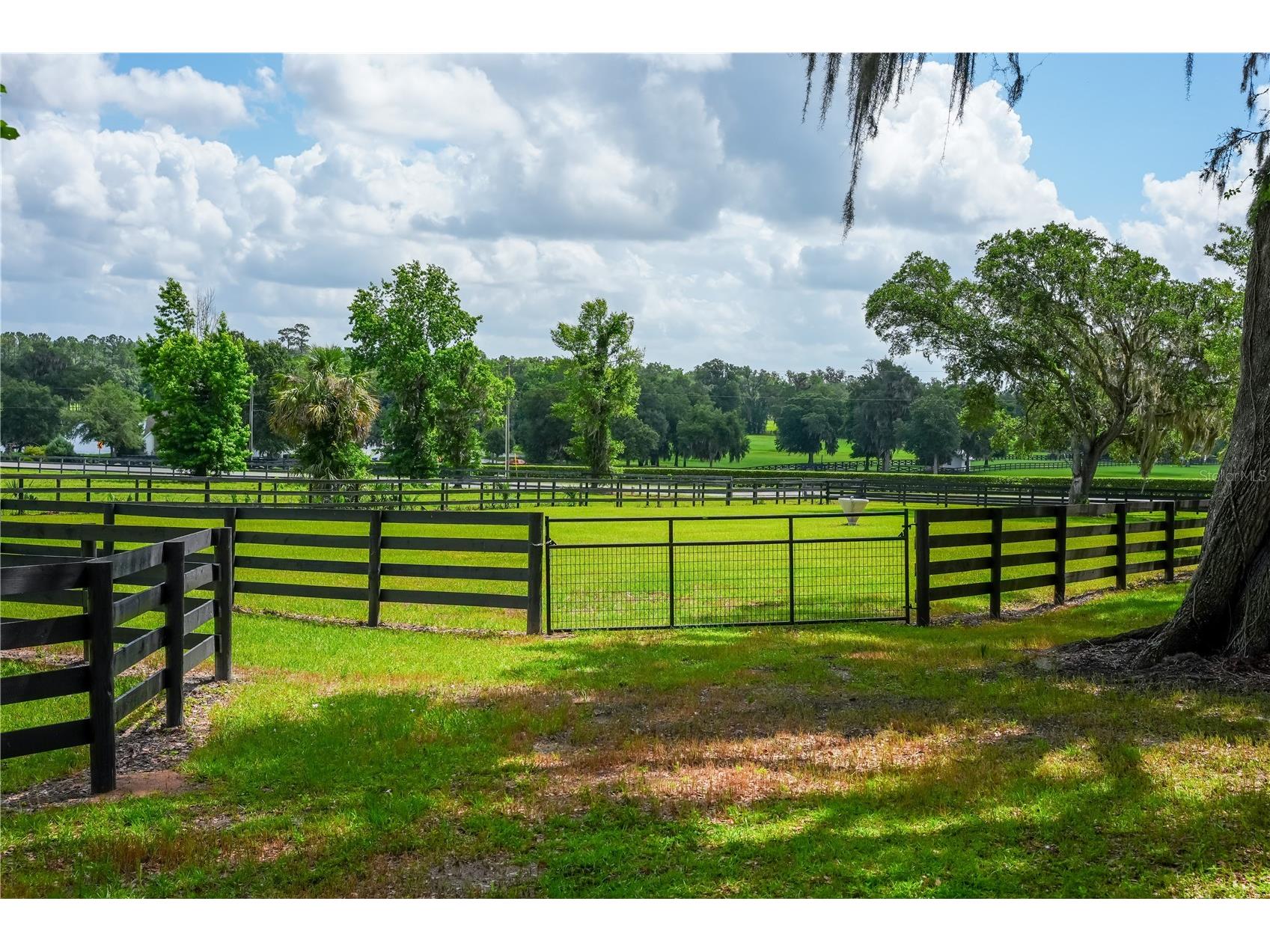 6450 NW Highway 225 Ocala FL 34482 OM721778 image12