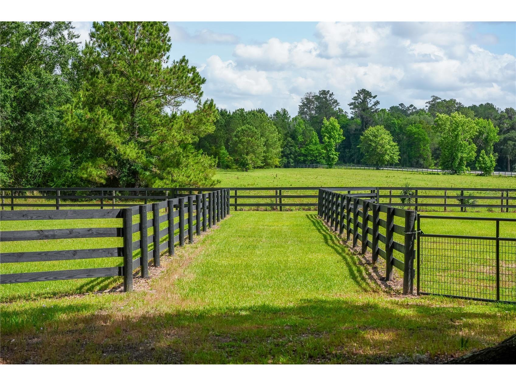 6450 NW Highway 225 Ocala FL 34482 OM721778 image13