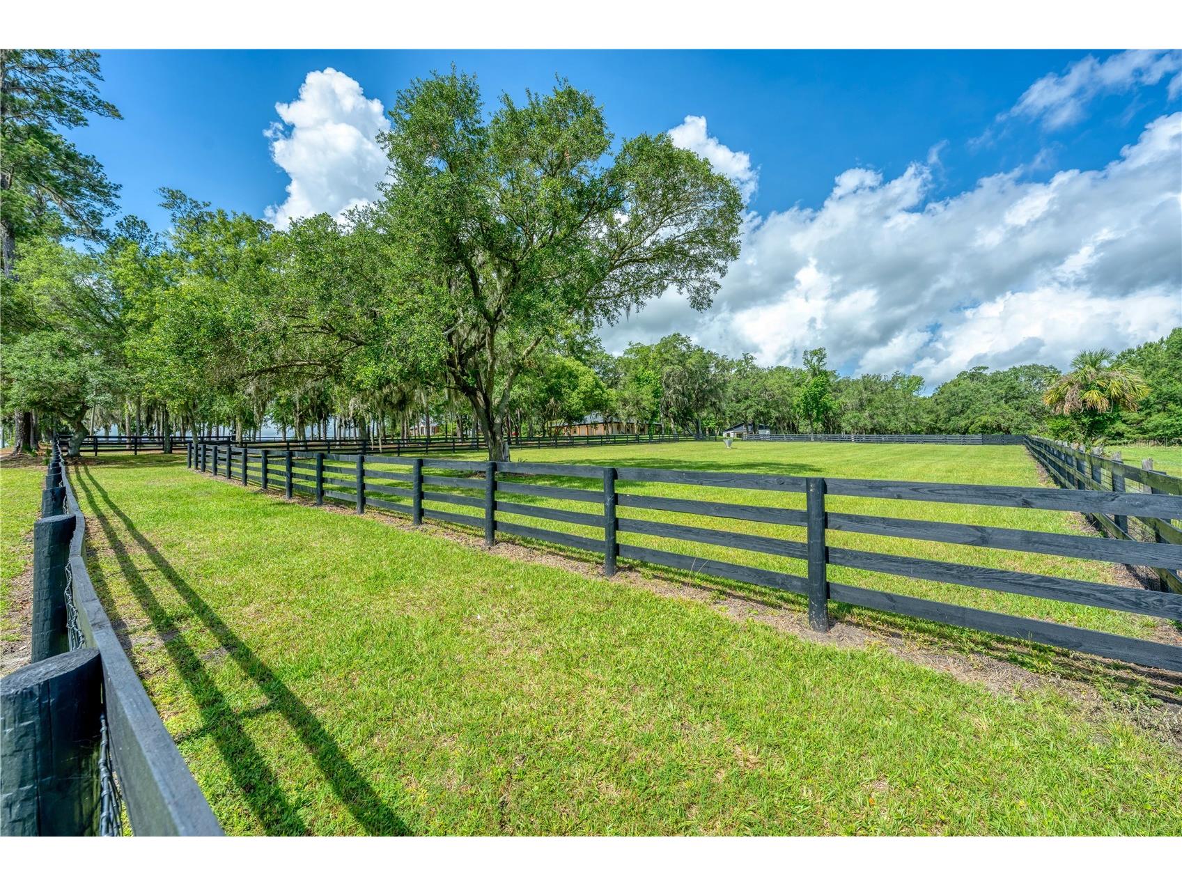 6450 NW Highway 225 Ocala FL 34482 OM721778 image72