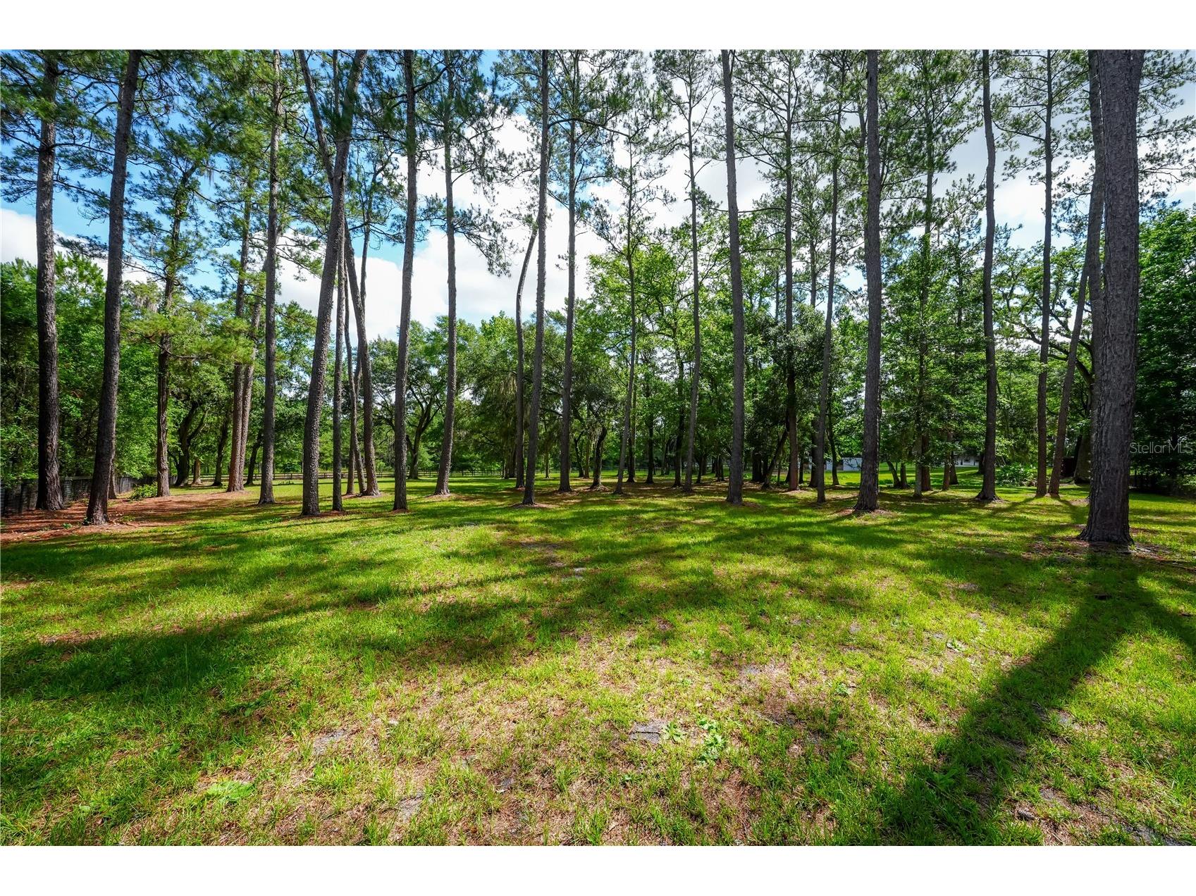 6450 NW Highway 225 Ocala FL 34482 OM721778 image78
