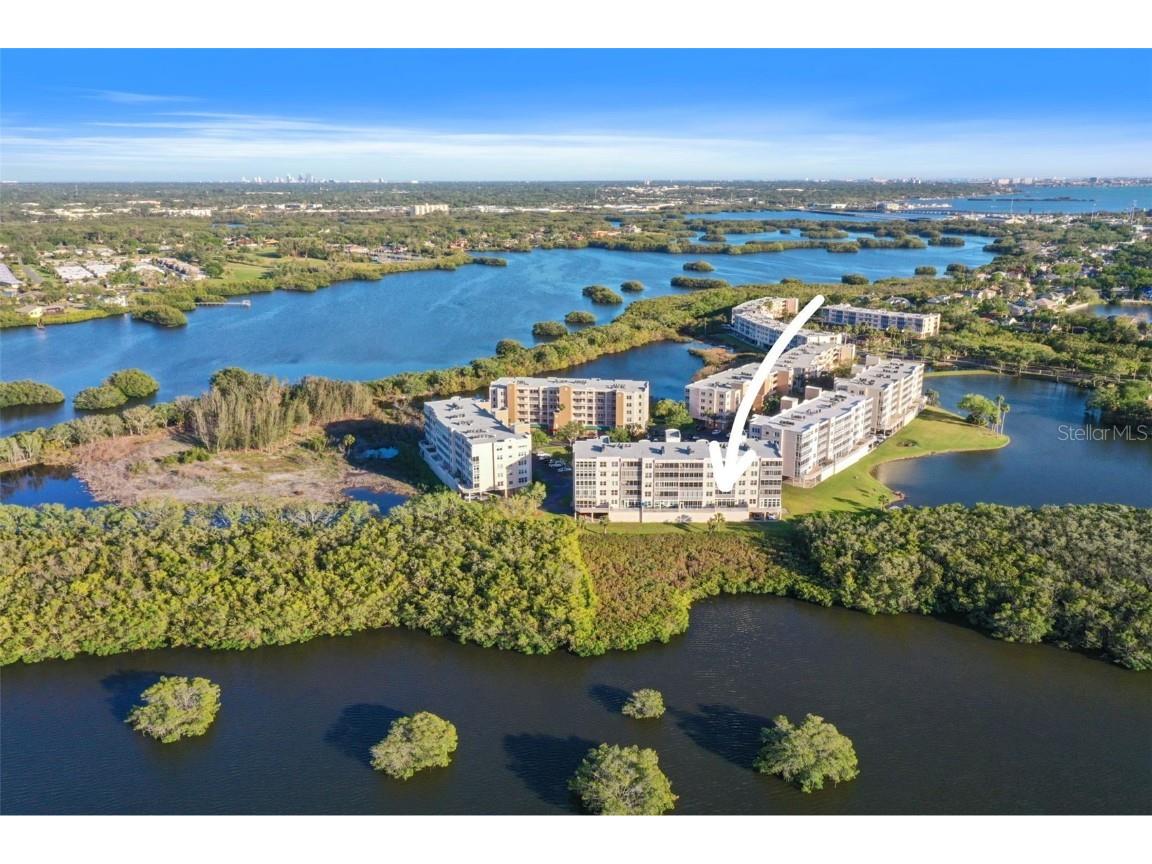 6450 Shoreline Drive #9202 Saint Petersburg FL 33708 TB8402878 image27